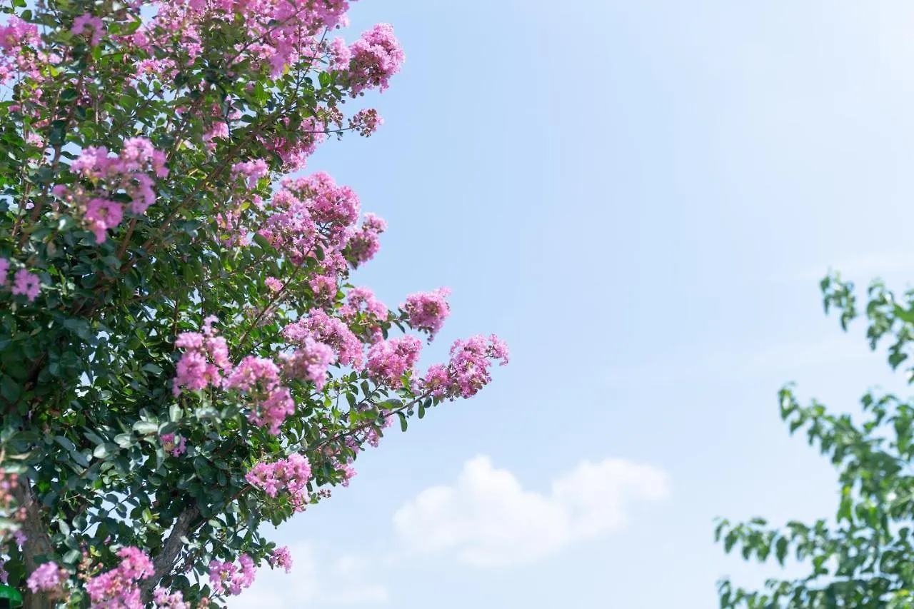 Κατάλυμα σε φάρμα Agriturismo E Agricamping Le Nosare Valeggio sul Mincio Ιταλία